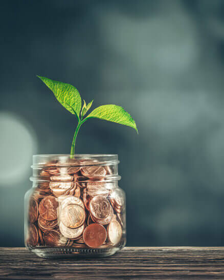 Omnia Wealth