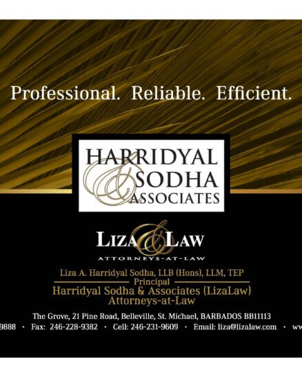 LIZA LAW HALF PG AD FINAL