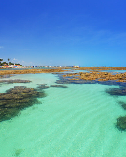 Porto de Galinhas 2