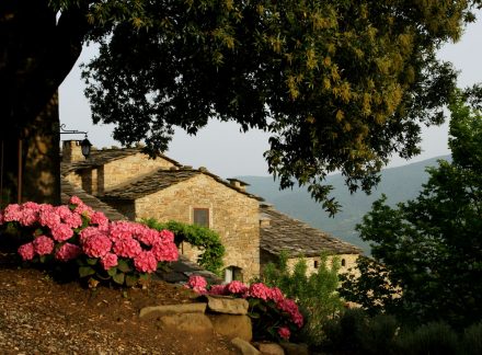 LIVING THE REAL TUSCAN DREAM