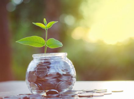 TAX SENDS HOME INSURANCE PRICE RISES THROUGH THE ROOF
