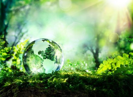 Why Green is the New Black for a Healthy Real Estate Future