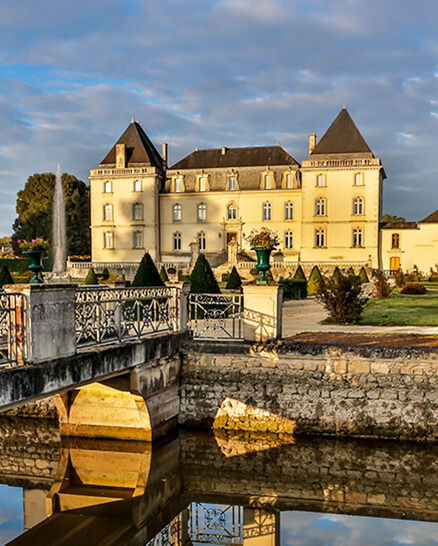 Sifex Directory Image 1