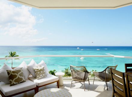 Paradise Found