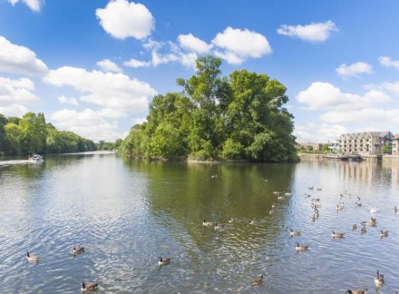 Get back to nature within the hustle and bustle of London at Lion Wharf