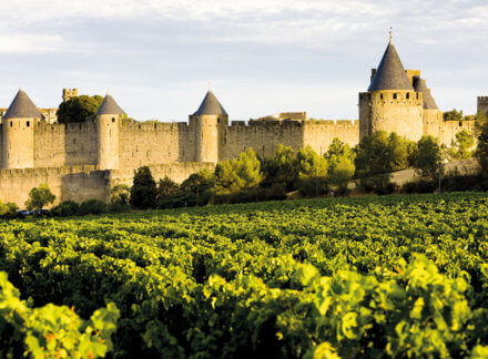 A vintage investment in California’s wine country