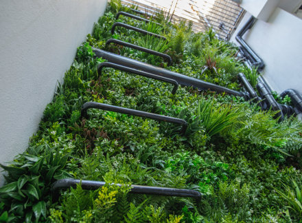 Instant Greenery All Year Round