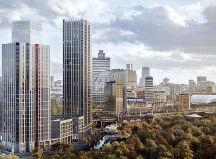 A Red Bank Regeneration