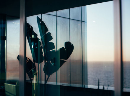 Australia Property Market Thrives Despite Corona