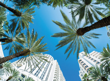 Central Florida Shows Signs of Recovery
