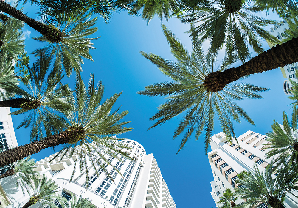 Central Florida Shows Signs of Recovery