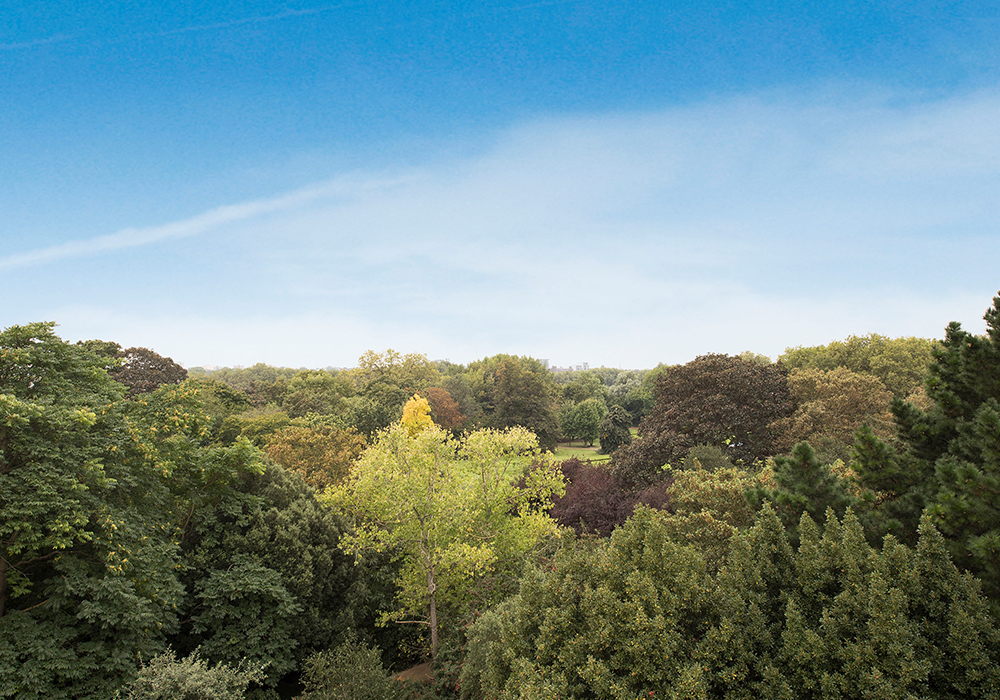 City Dwellers to Countryside Retreaters