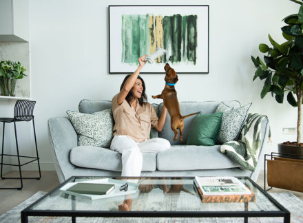 Vertus Goes Pet-Friendly