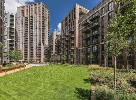 The Success of Build-To-Rent