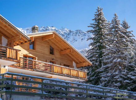 Sensational Swiss Ski Homes