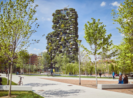 Forest In The City