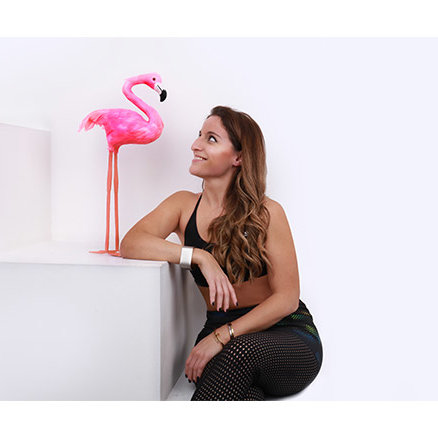 flamingo2