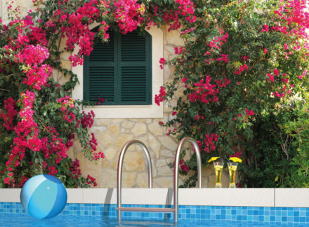 Allure Of The Algarve