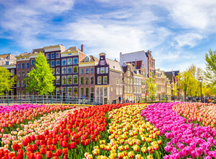 Amsterdam Luring British