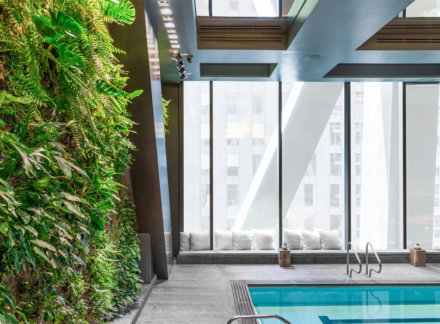 Inner City Oasis