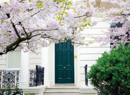 Notting Hill Know-How