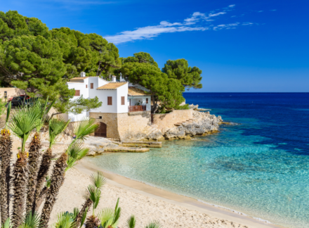 Mallorca Enticing Back Overseas Buyers