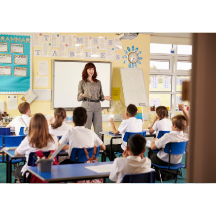 TT Education - Directory Listing - (2)