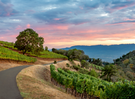 Wine Country, Glen Ellen, California