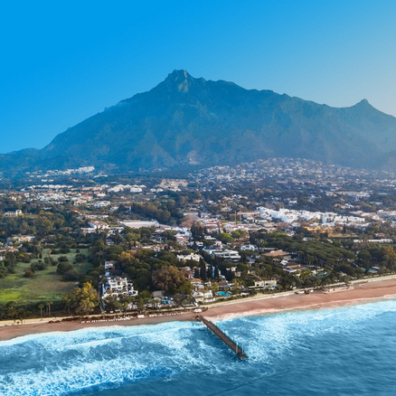 DeborahChanStudio_Transition (5)