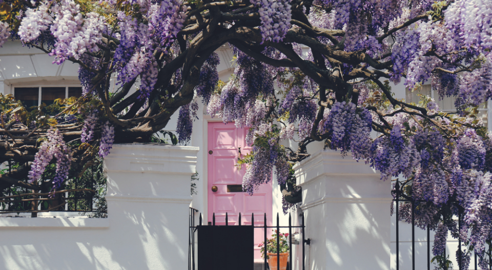 New buyer numbers jump 10% as market ‘stirs from its slumber’