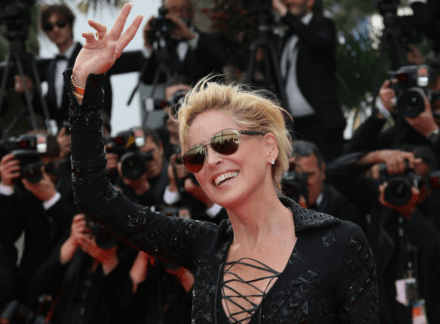 Sharon Stone’s Not So Basic Home On the Market