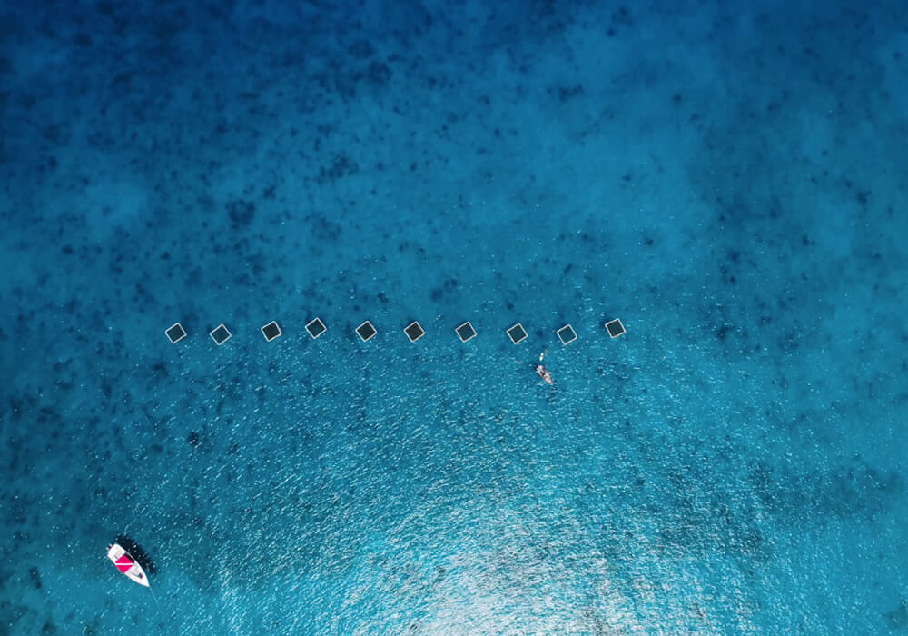 Export Barbados Wave Power Park