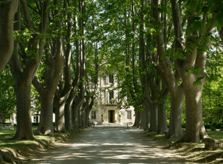 Gers Region Of France Sees Uptick In Buyer Interest