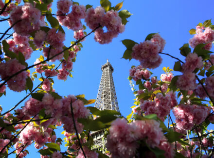 France Tightens Short-Term Rental Laws