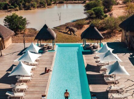 Win A Three-night, Five-Star African Adventure at Kapama Lodge