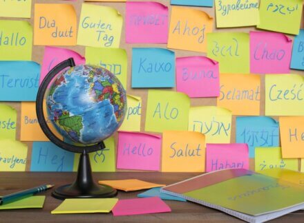 Drop in A-Level Language Study Prompts Call for Reform